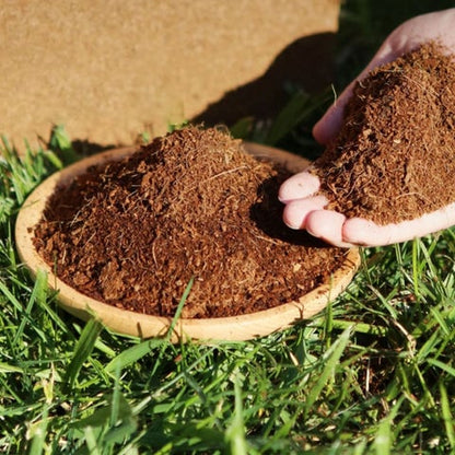 Organic Coco Coir Brick - Potting Soil Mix for Plants 🔥Buy 5 Get 5 FREE