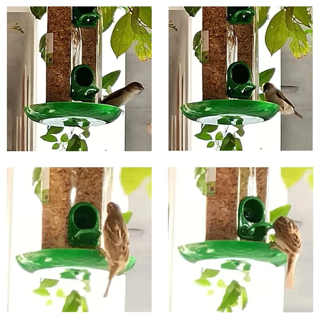 Bird Food and Water Feeder Hanging for Balcony