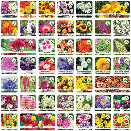 Multiple Flower Seeds (Combo of 100)