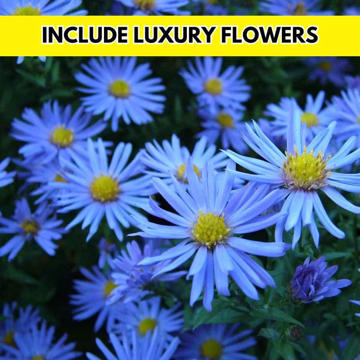 Multiple Flower Seeds (Combo of 100)